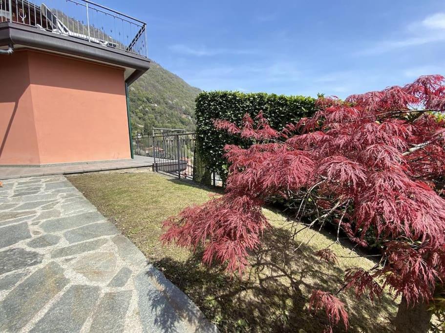 San Sisinio Apartment Argegno Buitenkant foto
